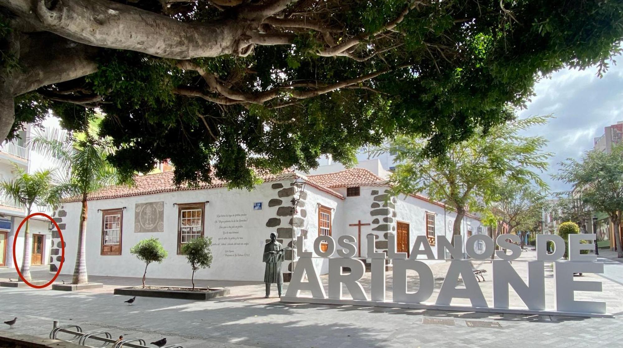 Vista Plaza - Exceptional Location Apartman Los Llanos De Aridane Kültér fotó
